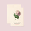 2 Corinthians 13:14, Grace, Love & Fellowship—Scripture Floral Greeting Card