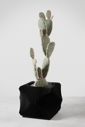 Xenova Planter