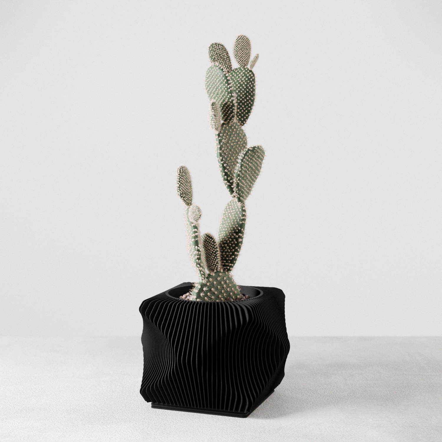 Xenova Planter